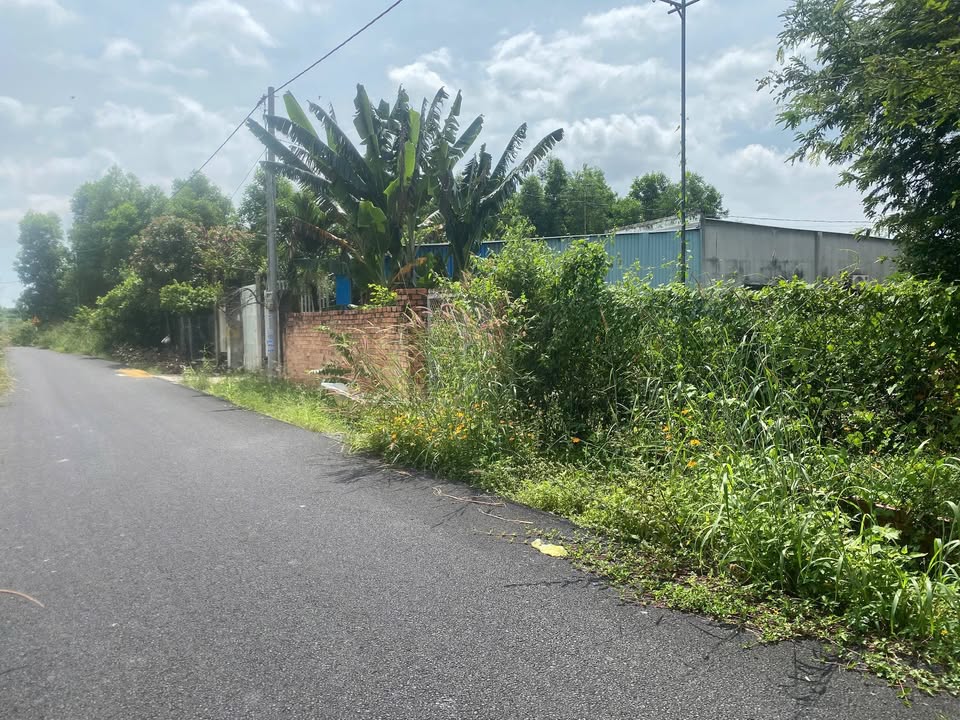 Đất mặt tiền đường Xuyên Phước Cơ, Phước Bửu, 580m² giá 2.9 tỷ - Cơ hội đầu tư hấp dẫn!