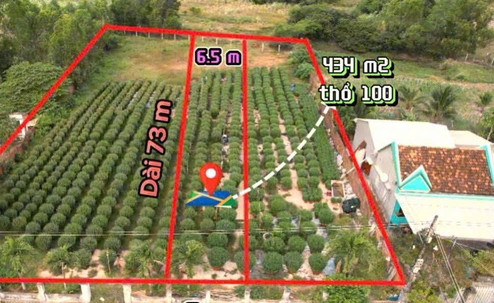 Đất Nền Ninh Xuân 434m² giá 700 triệu - Gần đường bê tông thông thoáng!