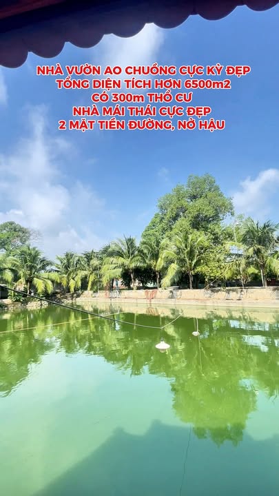 Farm Vĩnh Tân 6500m² giá 9.99 tỷ - Hạ giá cực sốc!