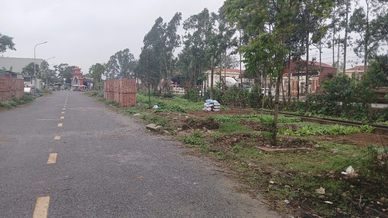 Đất đấu giá Tân Tiến, Gia Lộc 100m² giá 2.6 tỷ - Sổ đỏ chính chủ, đầu tư sinh lời!