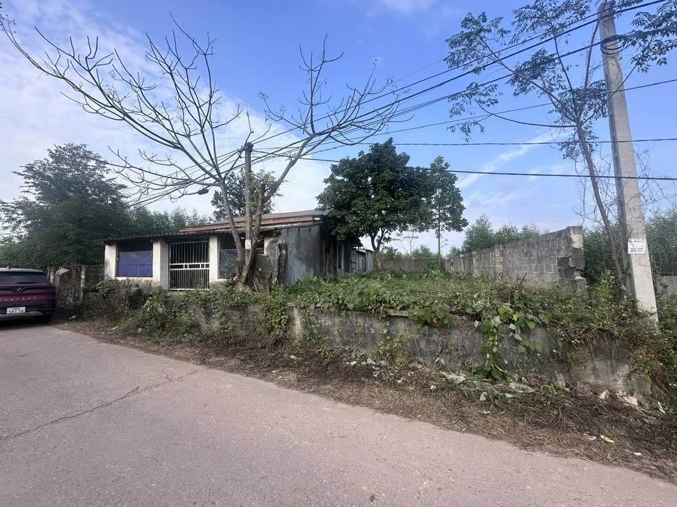 Nhà cấp 4 tại trung tâm xã Nam Hoà 662m² giá 1.1 tỷ - Cơ hội đầu tư hiếm có!