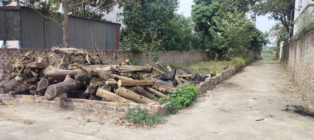 Đất lô góc 100m² tại xã Quang Tiến, Sóc Sơn - Gần KCN Nội Bài chỉ 1,5km!