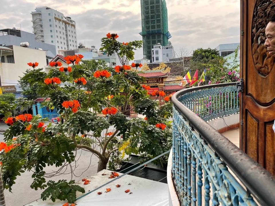 Nhà 2 mặt tiền Mai Hắc Đế, Đà Nẵng 118.3m² giá 25 tỷ - Đầu tư sinh lời ngay tại chợ đêm!