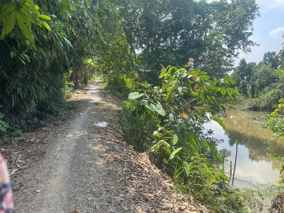 Đất nền Tân Lược, Bình Tân, Vĩnh Long 17 công giá 4.25 tỷ - Đầu tư sinh lời tuyệt vời!