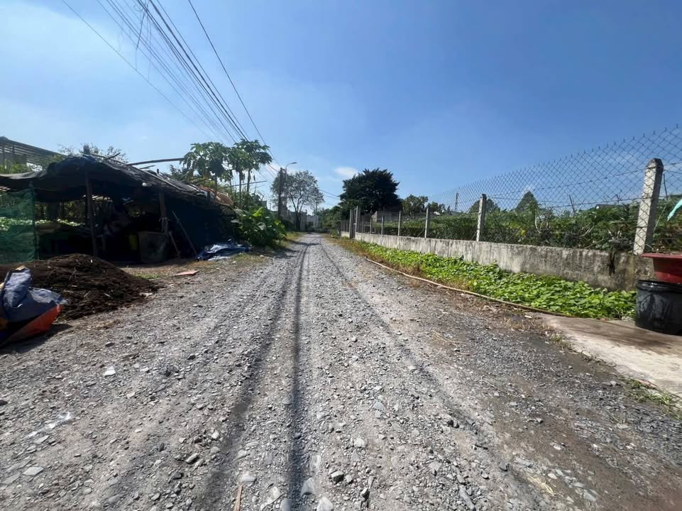 Đất nền Tân Thạnh Đông Củ Chi 456m² giá 4.9 tỷ - Đầu tư sinh lời bền vững!