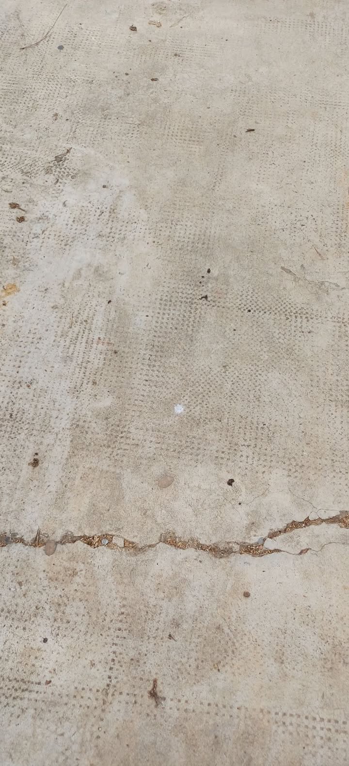 Nhà cấp 4 Tân Hiệp, Lâm Hà 100m² giá 1.7 tỷ - Chính chủ bán gấp!