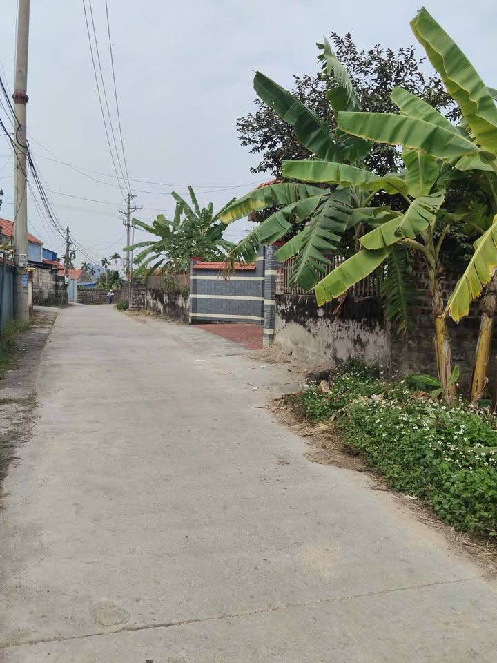 Đất TDP 9 Lưu Kiếm, Hải Phòng 100m² giá 850 triệu - Cơ hội đầu tư hấp dẫn!