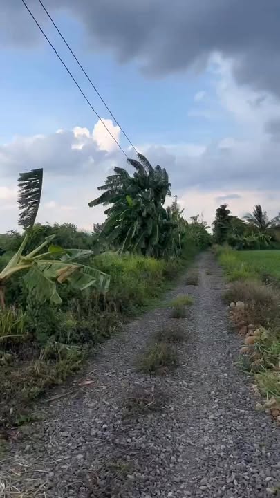 Đất nền Xuân Định 3600m² giá 500 triệu - Cơ hội đầu tư hấp dẫn!