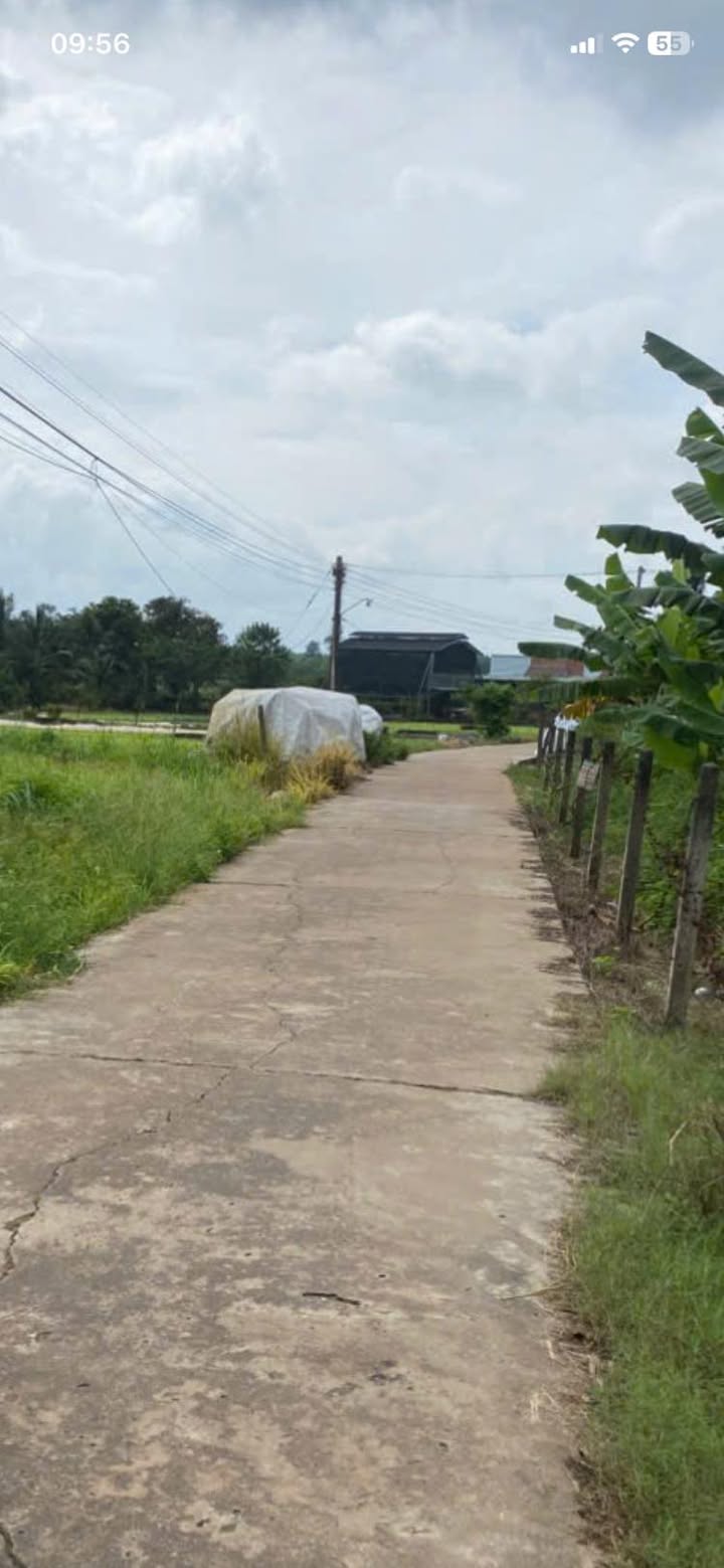 Đất nền Xuân Hiệp, Xuân Lộc 200m² chỉ 600 triệu - Sổ hồng riêng, công chứng trong ngày!