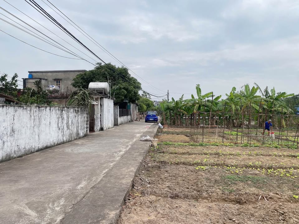 Đất thổ cư Quang Minh 89,9m² - Mặt tiền 6m, giá chỉ 4xx triệu VND!