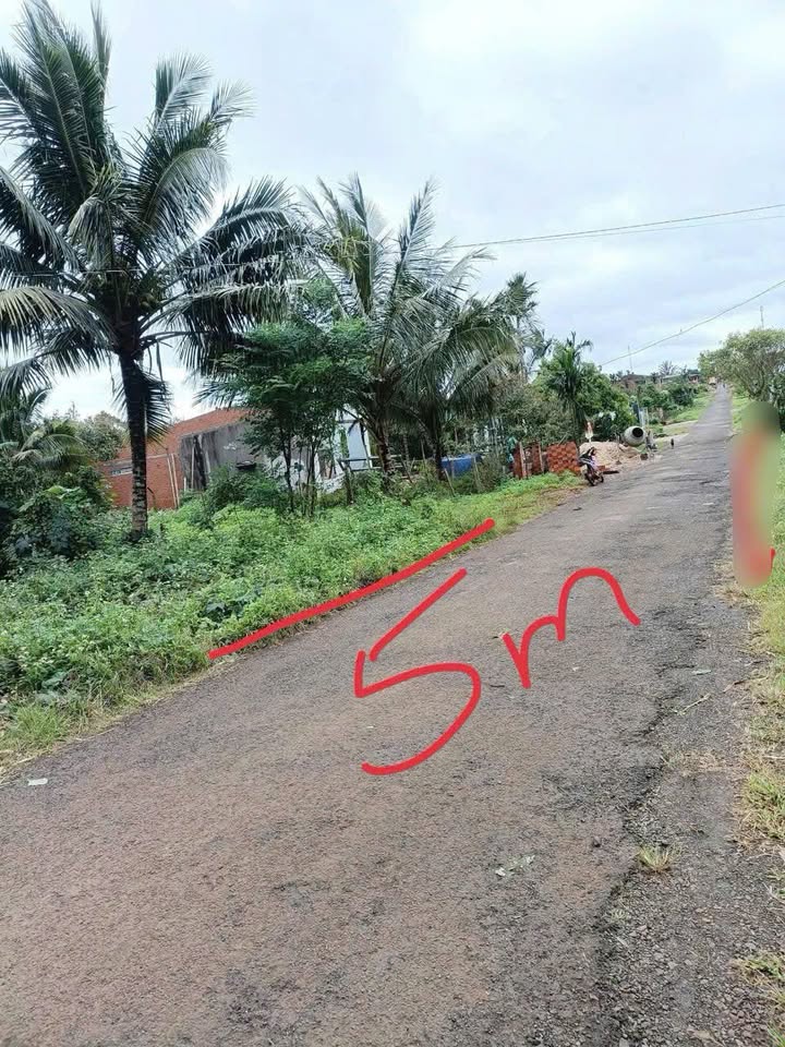 Đất nền 175m² tại Krông Năng - Sổ đỏ chính chủ, giá chỉ 780 triệu!