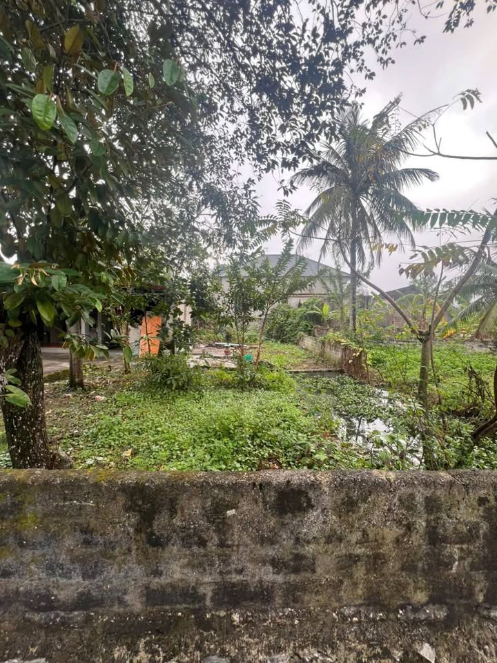 Đất nền Đông Quang, Đông Sơn 165.6m² giá 990 triệu - Cơ hội đầu tư vàng!