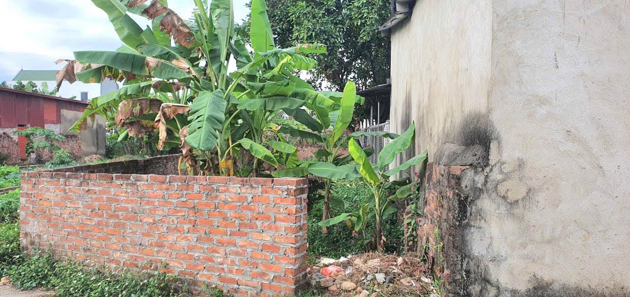 Đất Tân Minh, Sóc Sơn 95m² giá thỏa thuận - Khu vực sầm uất, tiện nghi