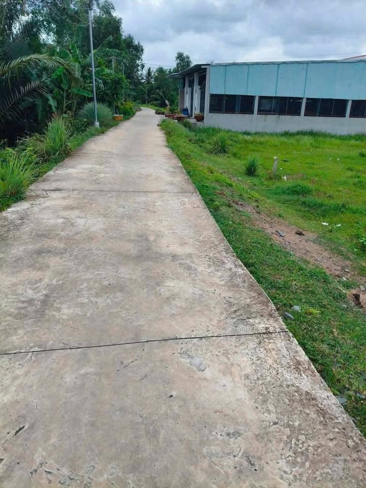 Đất nền Ấp 10, Lương Hoà, Bến Lức 200m² giá 1.2 tỷ - Mặt tiền kênh thoáng mát!