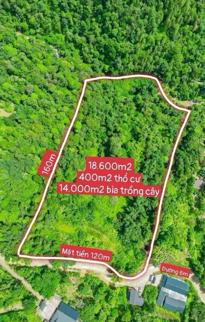 Đất Farm Tả Phìn Lào Cai 20.000m² giá thỏa thuận - Đường ô tô tránh nhau!
