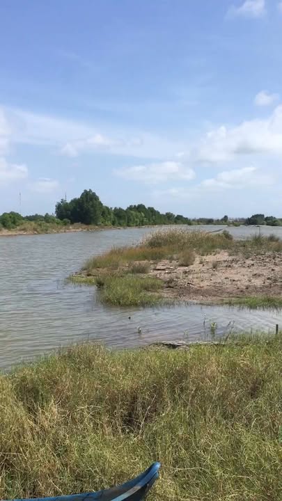 Đất cho thuê xã Hàm Rồng, Năm Căn 28 công giá 70 triệu/năm - Cơ hội đầu tư sinh lời!