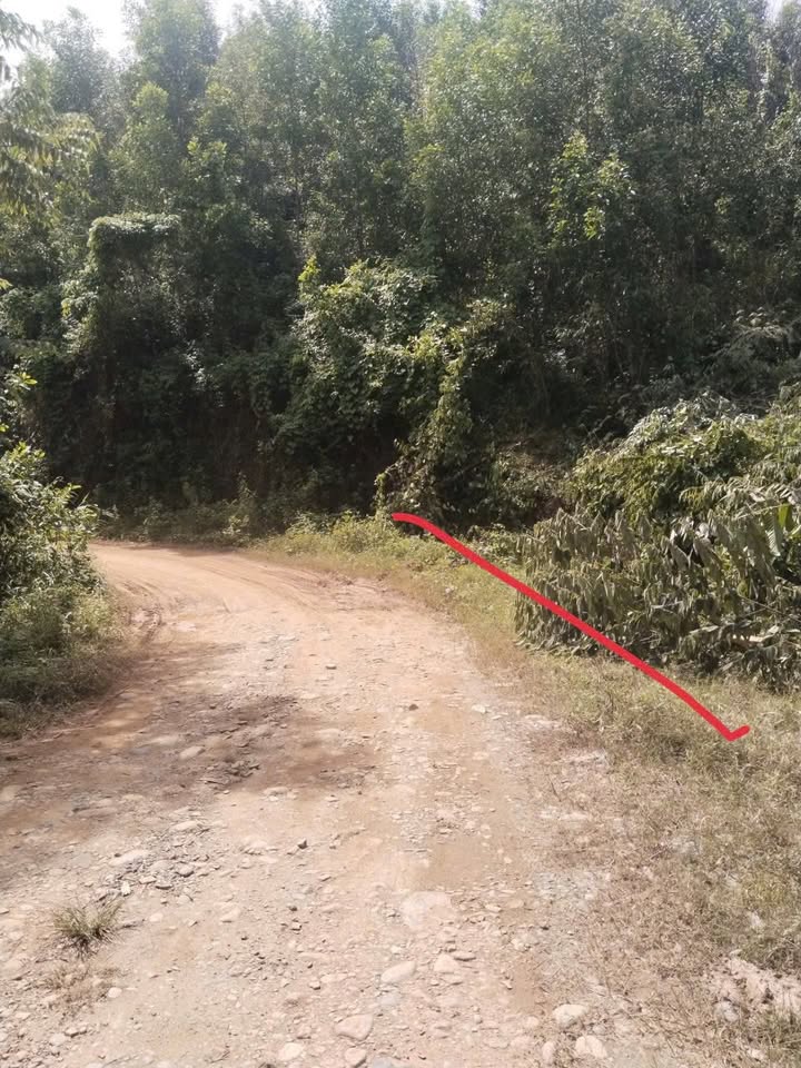 Đất rừng sản xuất xã Nam Khánh Vĩnh 1.7ha giá chỉ 300 triệu - Cơ hội đầu tư tuyệt vời!