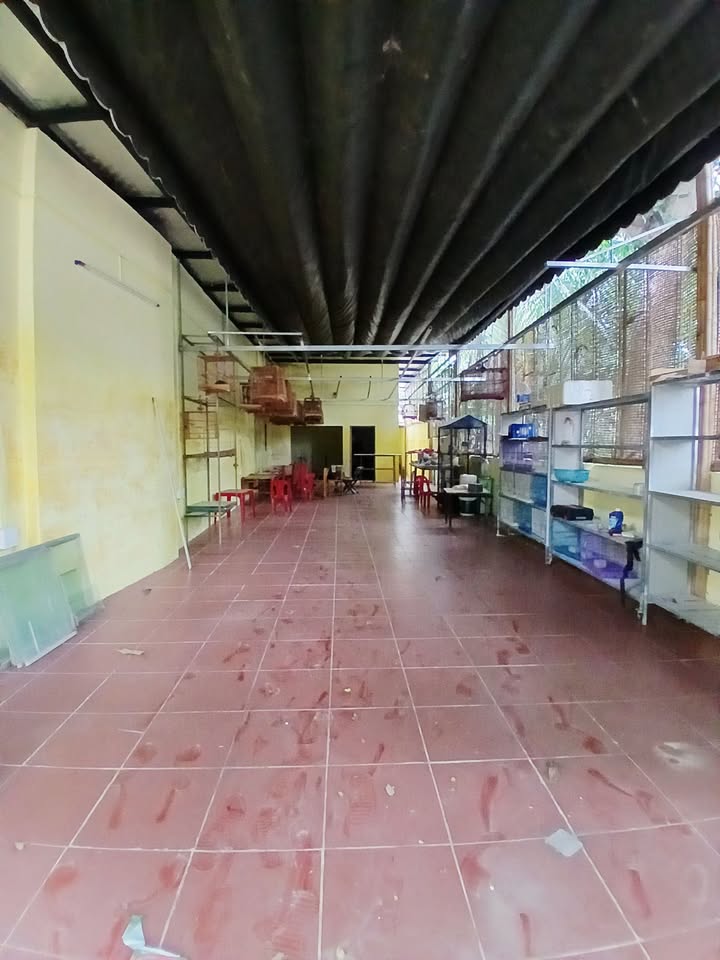 Cho thuê mặt bằng kinh doanh đường Lương Định Của, Nha Trang 100m² - Khu phố sầm uất, phù hợp ở và buôn bán!