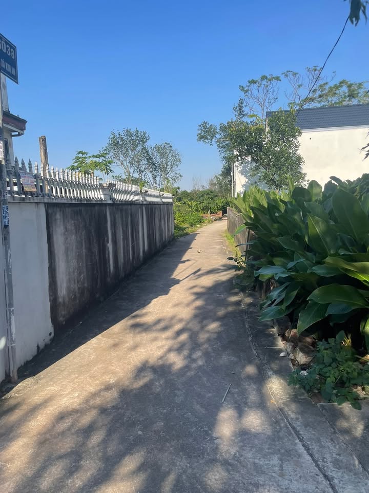 Lô đất 62,8m² Tràng Cát Kim An - Thanh Oai giá 1 tỷ - Sổ đỏ chính chủ, ô tô vào tận nơi!