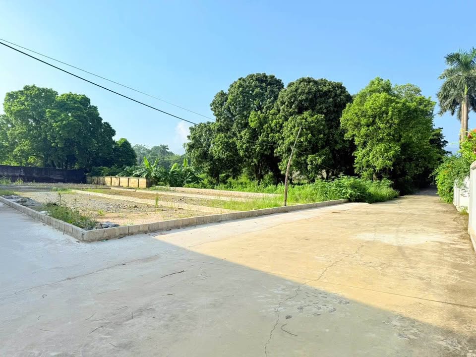 Đất Nhuận Trạch - Lương Sơn, Hòa Bình 250m² giá 1-3 tỷ - Đầu tư sinh lời cao!