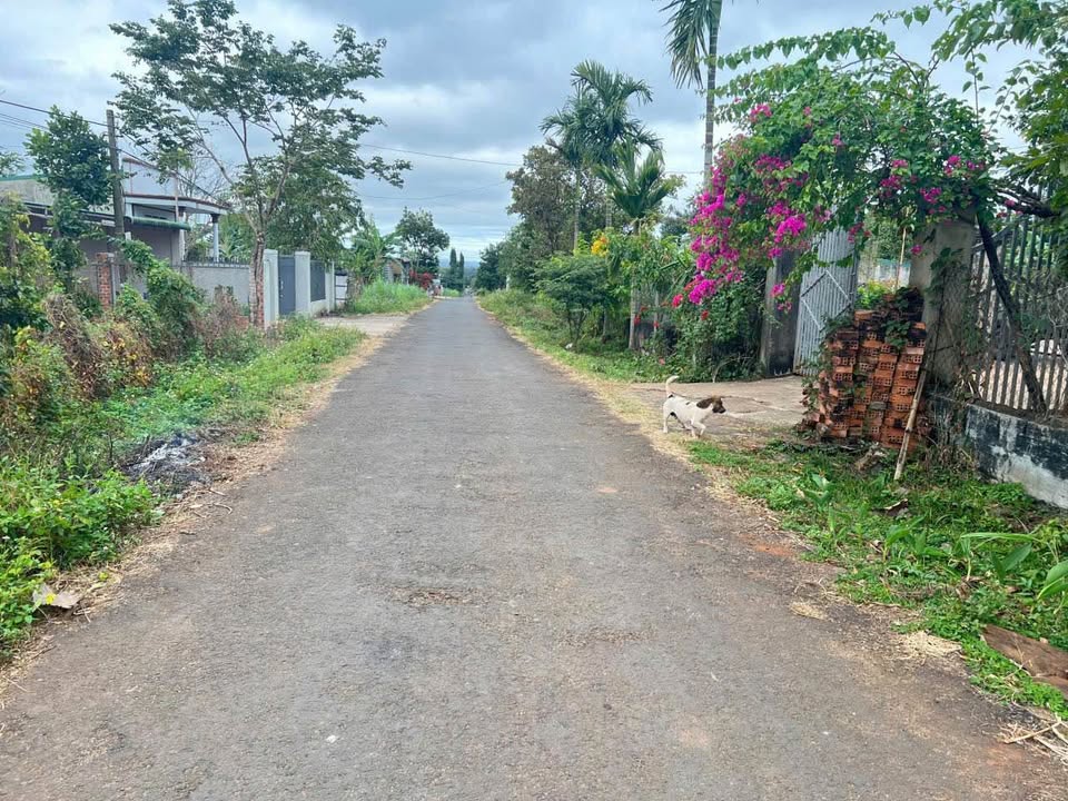 Đất thổ cư 300m² tại Đường Nhựa Số 1, Cư Ebur - Giá chỉ 1.1 tỷ, mặt tiền đẹp!