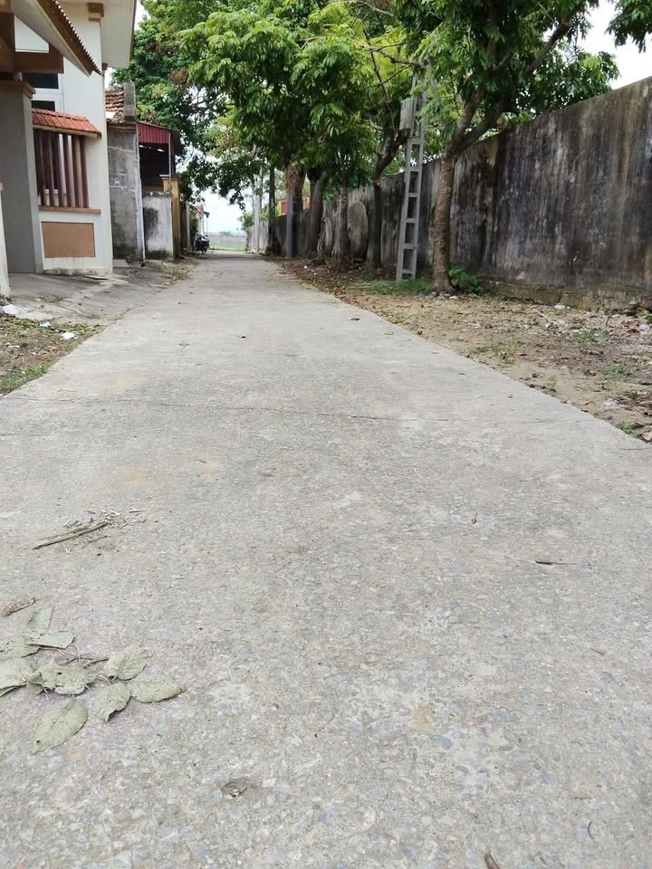 Đất nền Quang Trung, Quảng Tâm 104m² giá 880 triệu - Cơ hội đầu tư hiếm có!