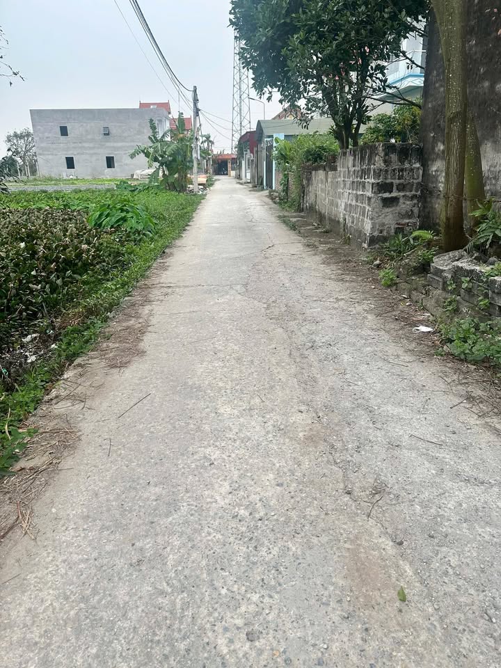 Đất nền 200m² tại Ấp Đòng, Hưng Yên - Giá chỉ 3.1 tỷ, chính chủ bán gấp!