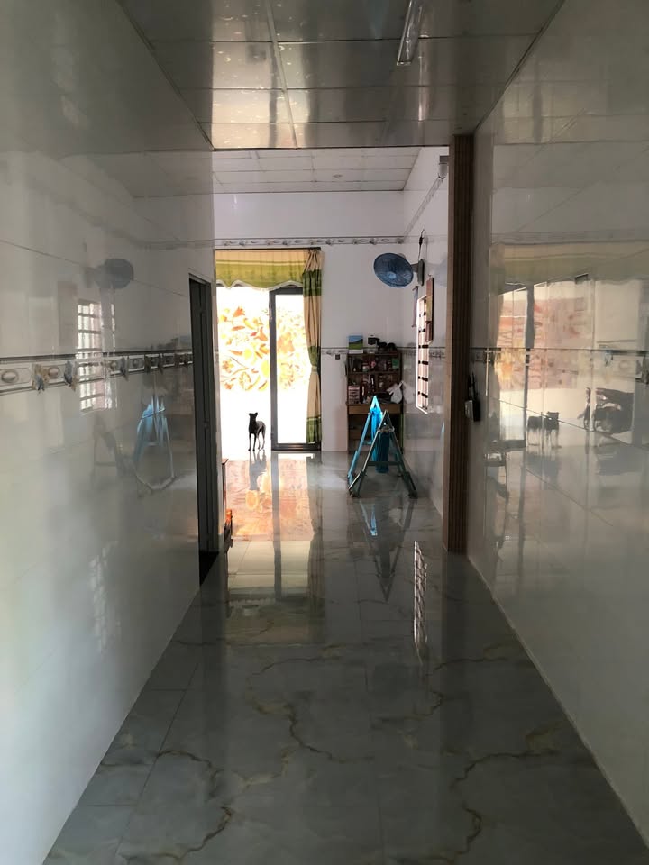 Nhà mới xây tại xã Phước Hội, huyện Đất Đỏ 220m² giá 1.6 tỷ - Cơ hội đầu tư tuyệt vời!