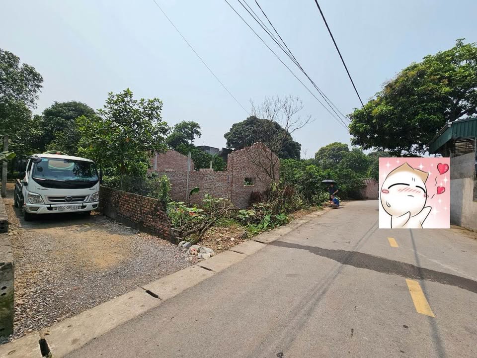 Đất nền Bối Cầu, Bình Lục 105m² giá 700 triệu - Cơ hội đầu tư hiếm có!