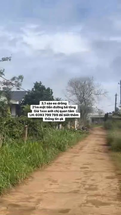 Đất nền tại Ea Drông, Buôn Hồ 11130m² - Mặt tiền đường bê tông, giá thỏa thuận!