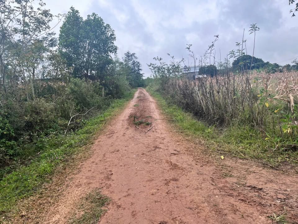 Đất thổ cư 500m² tại thôn 9, xã Ea Kly - Cách đường bê tông chỉ 50m!