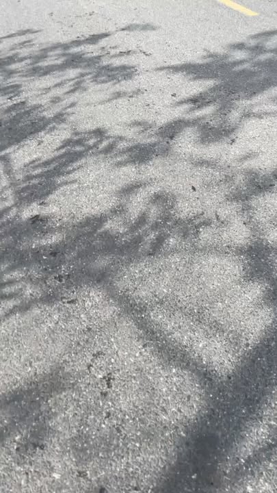 Đất nền liền kề chợ Nam Phước 132m² giá 2 tỷ - Cơ hội đầu tư hấp dẫn!