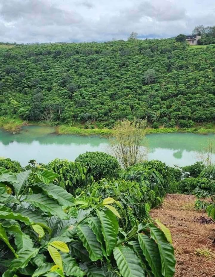 Đất nền 9xào 8 Lộc Phú - Bảo Lâm 4.5 tỷ - Mặt tiền đường rộng rãi, giá tốt!