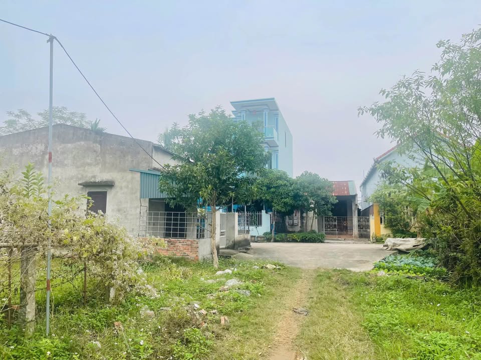 Đất nền Bãi Vù, Phùng Nguyên, Phú Thọ 140m² - Giá tốt, sổ đỏ chính chủ!