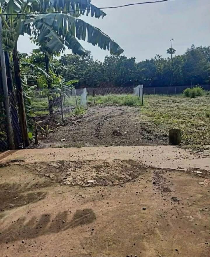 Đất nền 1,5 sào Gia Kiệm, Thống Nhất, Đồng Nai - Gần đường nhựa chỉ 300m