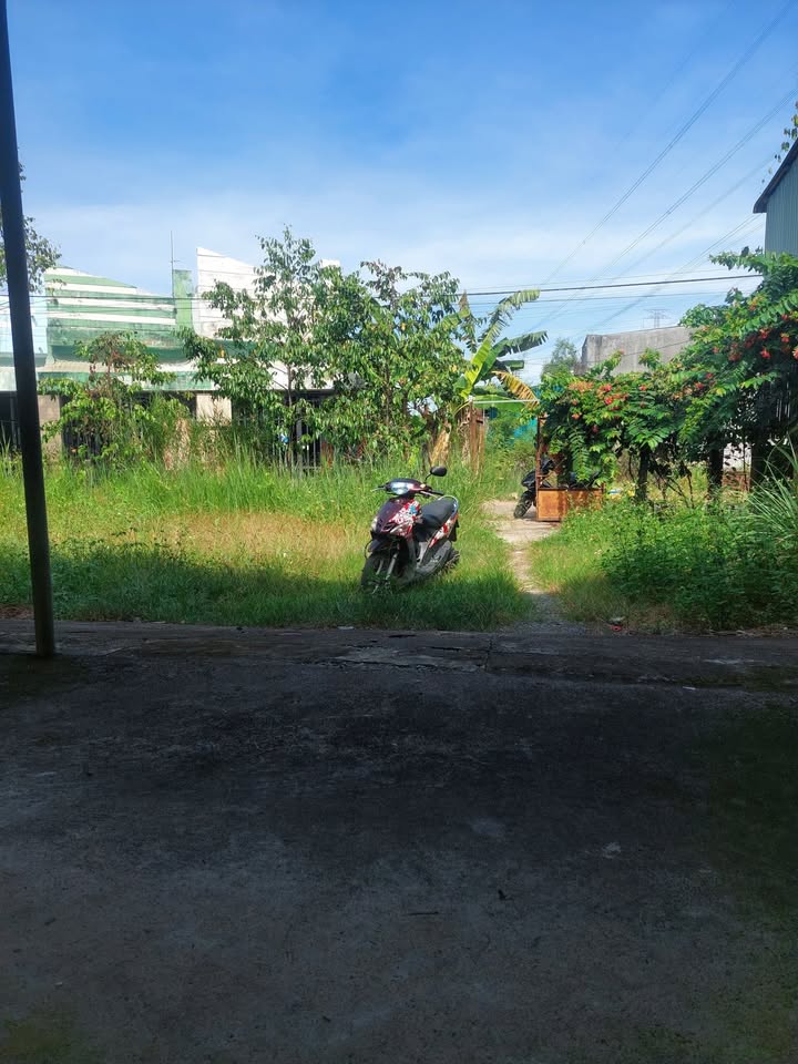 Farm 7 sào Vĩnh Tân, Vĩnh Cửu, Đồng Nai - Cho thuê thỏa thuận, có nhà và ao