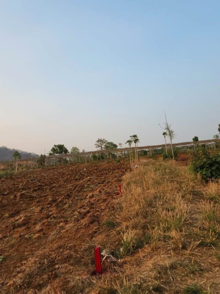 Đất nền thôn 1, xã Cư Êbur, TP. Buôn Ma Thuột 85m² giá 190 triệu - Đầu tư sinh lời hấp dẫn!