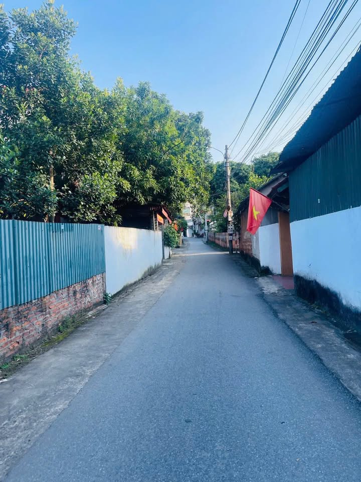 Đất thổ cư Khai Quang Vĩnh Yên 116.6m² giá 3 tỷ - Diện tích rộng, vị trí đẹp!