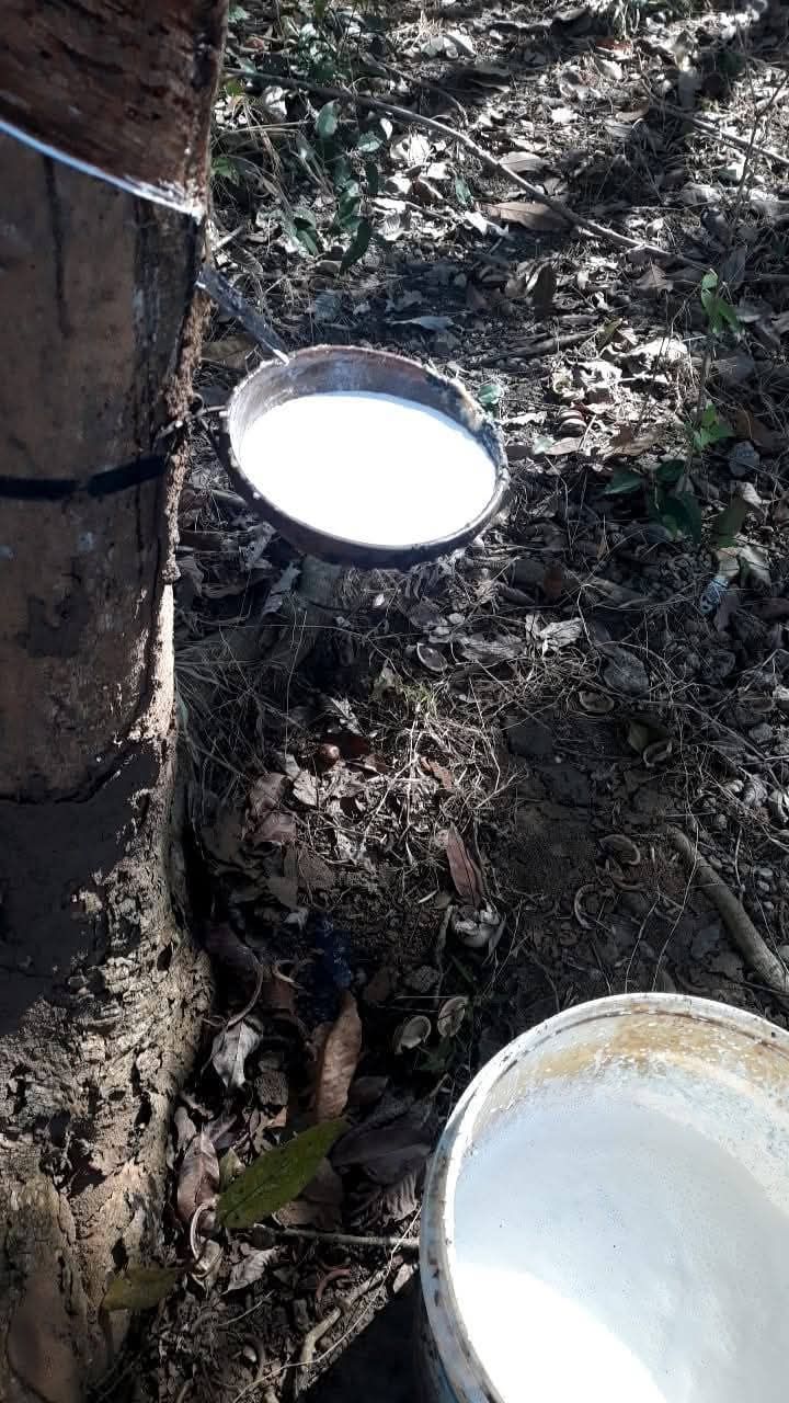 Đất nền Hưng Phước Bù Đốp 140m² giá 4 tỷ - Mặt tiền kinh doanh lý tưởng!