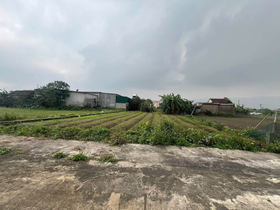 Đất nền Nghi Phú Vinh 200m² chỉ 700 triệu - Sổ đỏ trao tay!