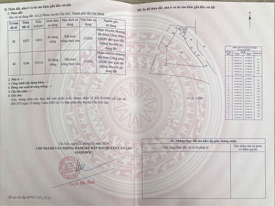 Đất nền Lý Nhơn, Cần Giờ 5400m² giá 650 triệu - Cơ hội đầu tư hấp dẫn!