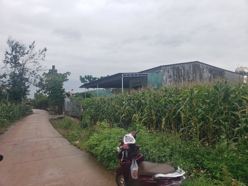 Đất nền Cư M'gar 564m² giá 480 triệu - Cơ hội đầu tư hấp dẫn!