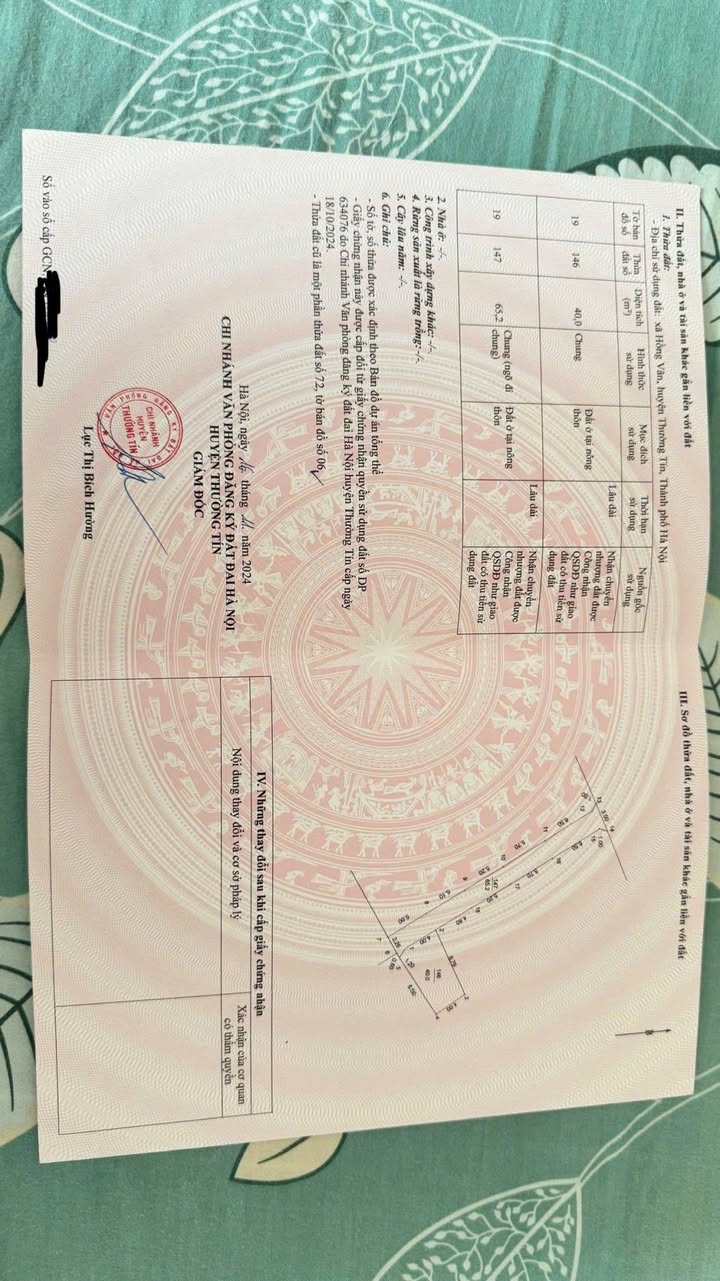 Đất Hồng Vân, Thường Tín 40m² giá 1 tỷ - Cơ hội đầu tư hiếm có!