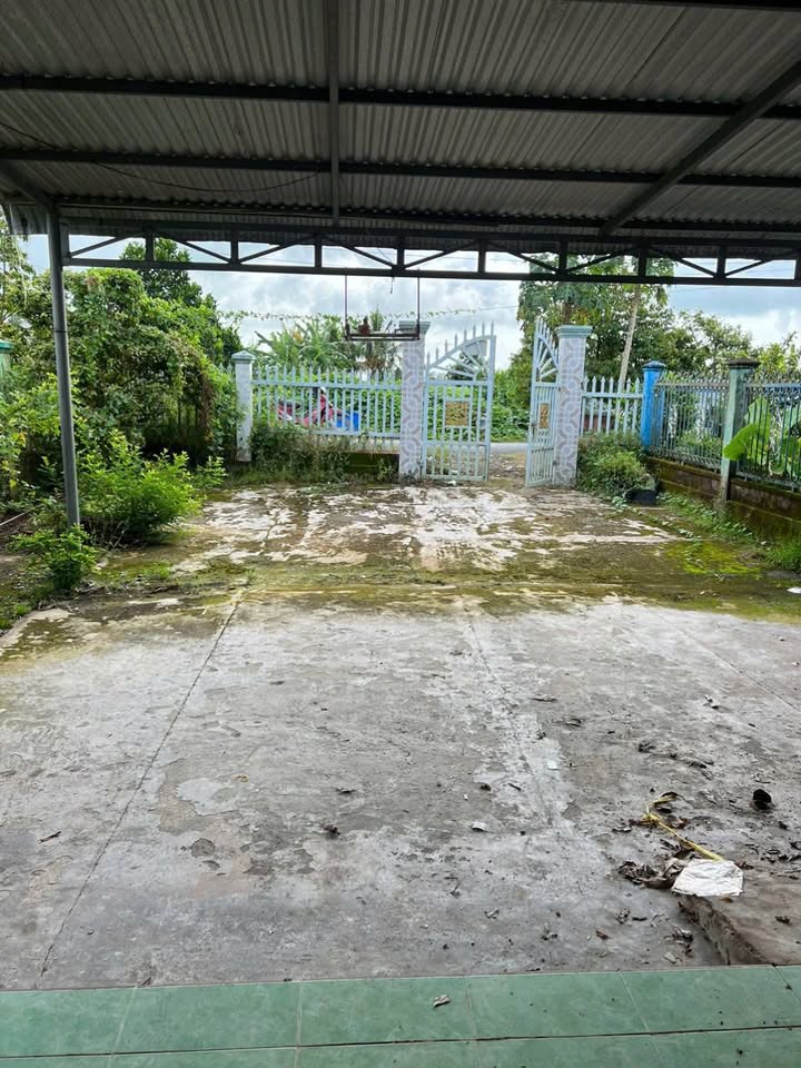 Nhà cấp 4 mặt tiền đường nhựa 264m² xã Tây Phú - Giá thương lượng, vào ở ngay!