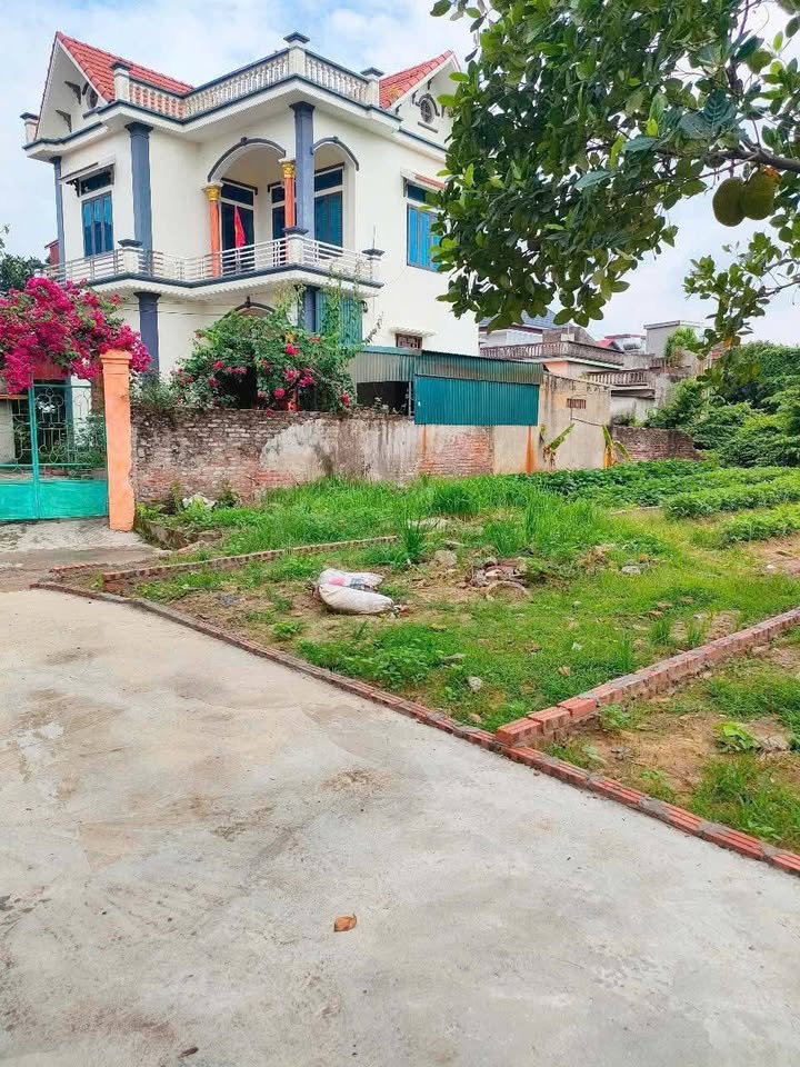 Đất thổ cư Nhật Tân, Gia Lộc 96m² giá 600 triệu - Cơ hội đầu tư sinh lời!