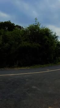 Đất nền 1000m² tại Láng Dài, Đất Đỏ - Giá chỉ 780 triệu - Cơ hội đầu tư không thể bỏ lỡ!