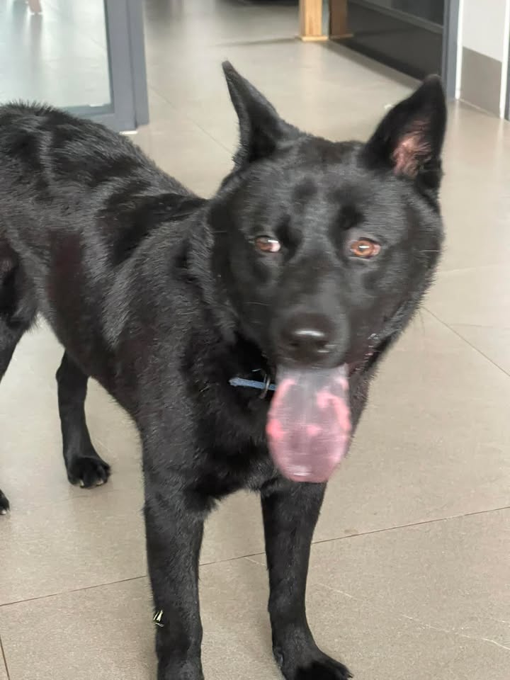 Đất Phước Tỉnh, Bà Rịa - Vũng Tàu 97m² giá 1.45 tỷ - Sát công viên, bờ kè biển!