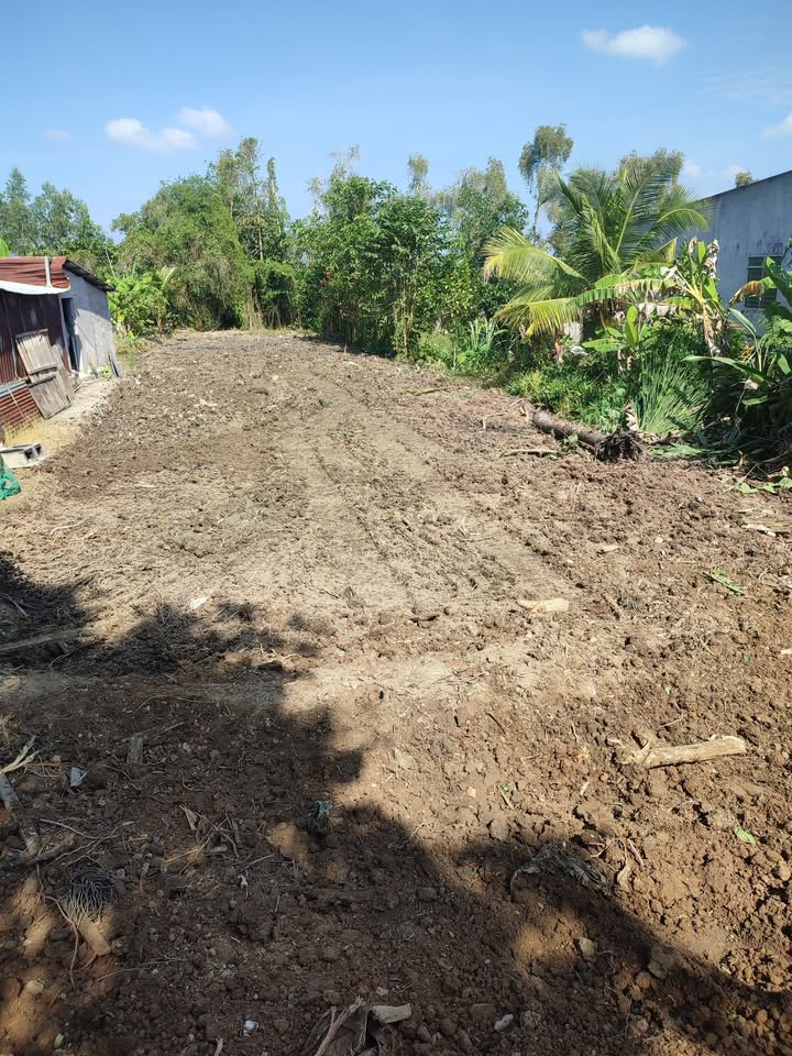 Đất nền Tháp Mười 510m² giá 750 triệu - Cơ hội đầu tư tuyệt vời!