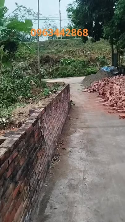 Đất thổ cư 300m² tại Phùng Nguyên, Lâm Thao - Gần chợ chỉ 200m!