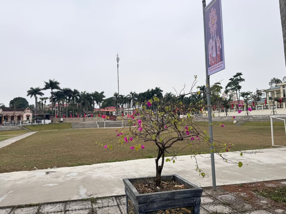 Đất nền tại Hy Cương, Việt Trì, Phú Thọ - Diện tích từ 100m² - Cơ hội đầu tư không thể bỏ lỡ!